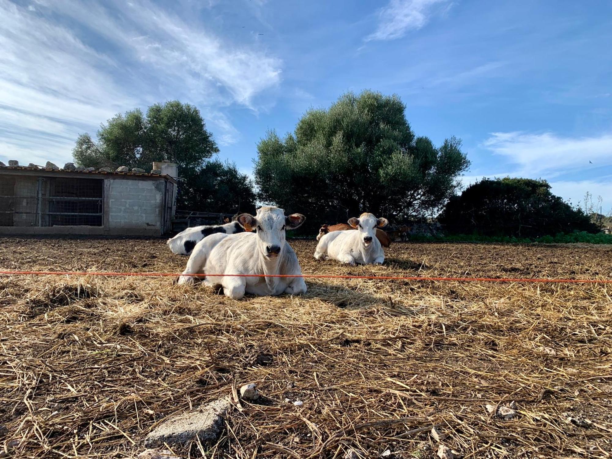 Portopalo Di Capo Passero Cozzo Spadaro B&B المظهر الخارجي الصورة