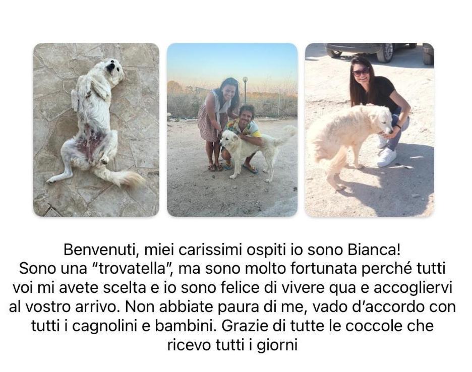 Portopalo Di Capo Passero Cozzo Spadaro B&B المظهر الخارجي الصورة
